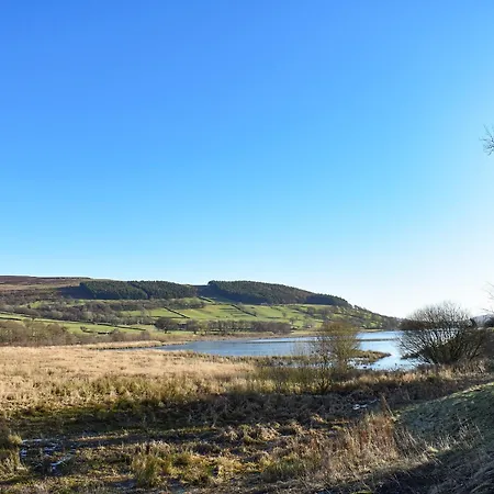 Rose Hébergement de vacances